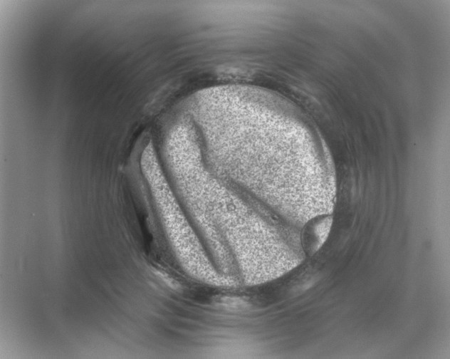 X0000068280649200605121913