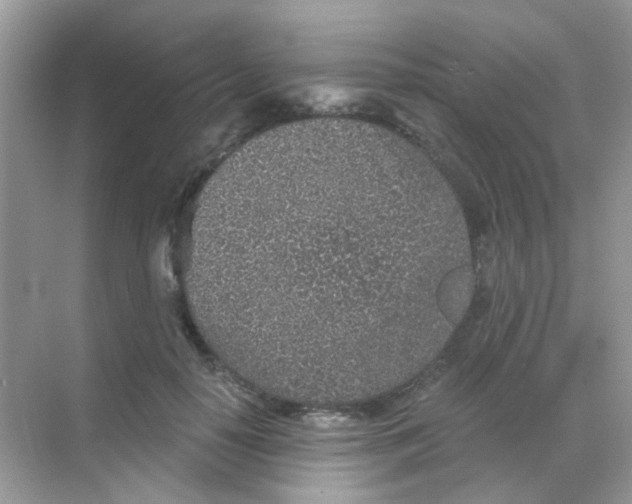 X0000068280650200605121913