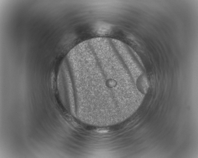 X0000068280651200605121913