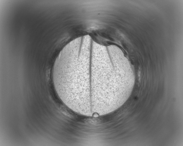 X0000068280652200605121913