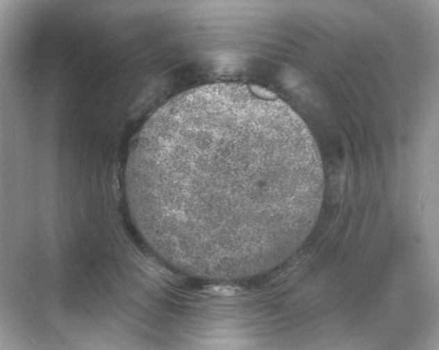 X0000068280654200605121913