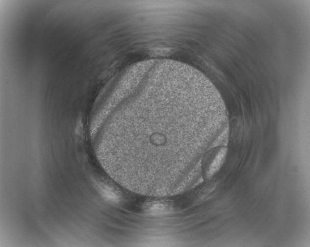 X0000068280655200605121913