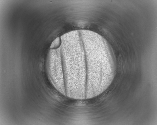 X0000068280656200605121913