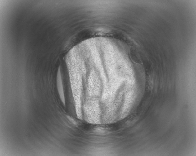 X0000068280657200605121913