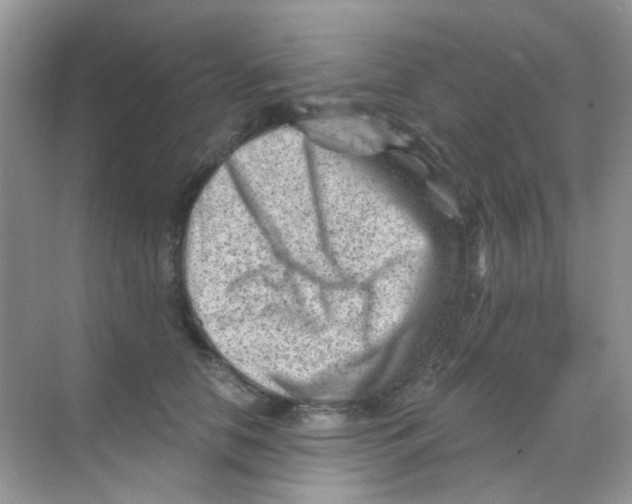 X0000068280658200605121913