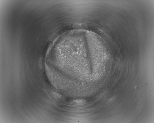 X0000068280659200605121913