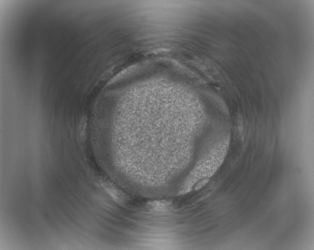 X0000068280660200605121913