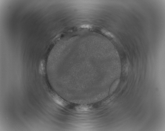 X0000068280661200605121913