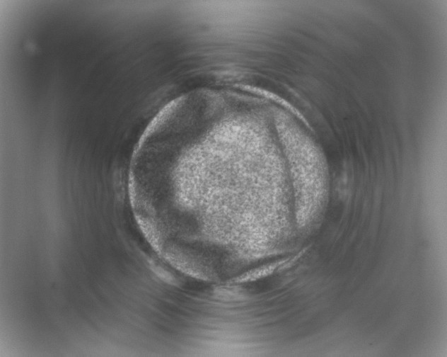 X0000068280666200605121913