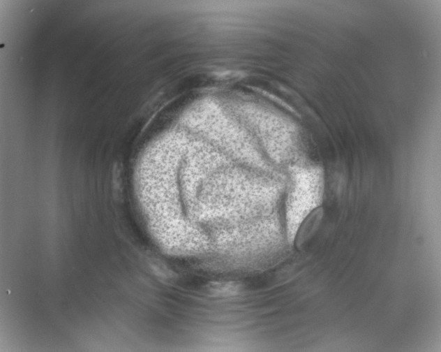 X0000068280667200605121913