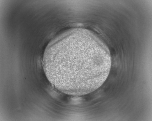 X0000068280669200605121913