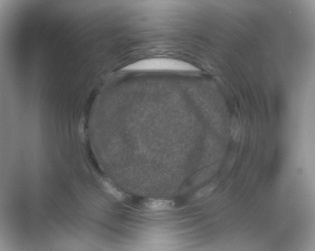 X0000068280670200605121913