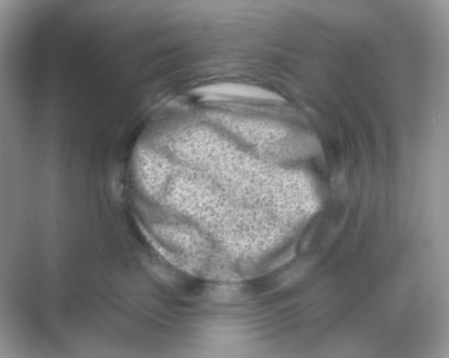 X0000068280671200605121913