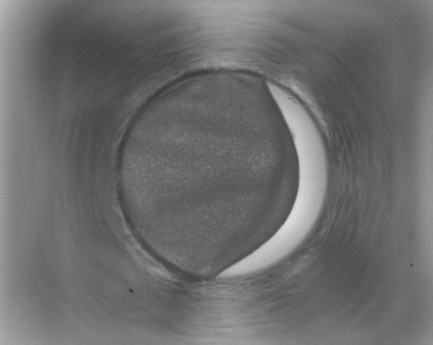 X0000068280673200605121913