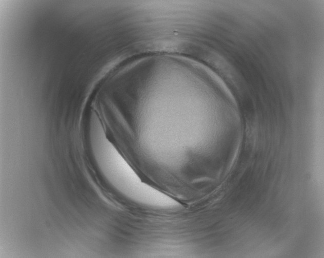 X0000068280674200605121913