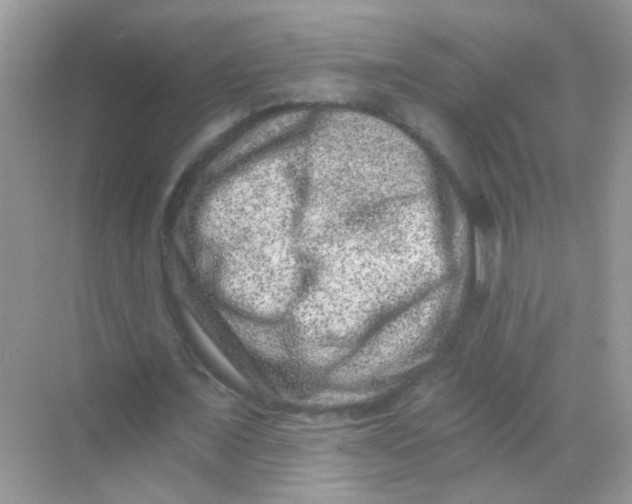 X0000068280675200605121913