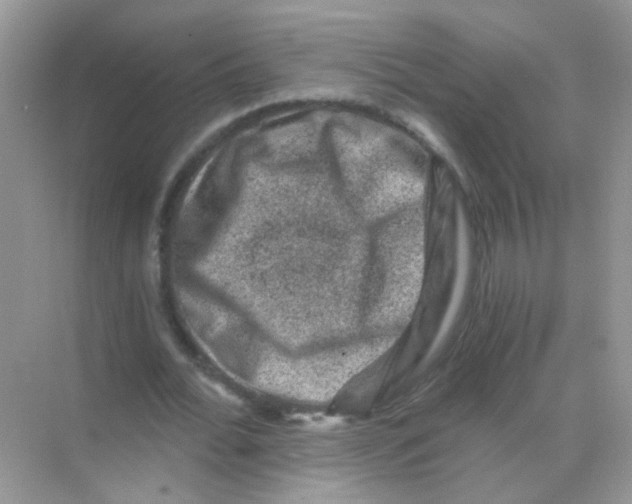 X0000068280676200605121913