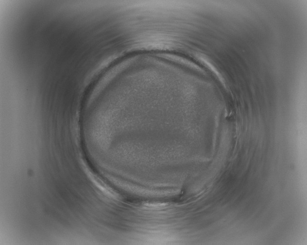 X0000068280677200605121913