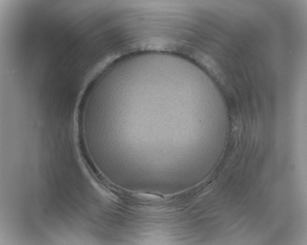 X0000068280678200605121912