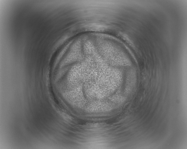 X0000068280679200605121912