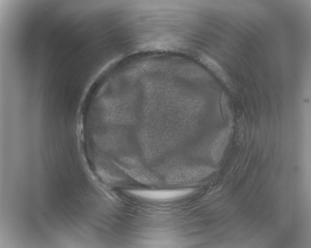 X0000068280680200605121912