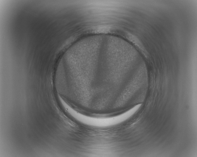 X0000068280681200605121912