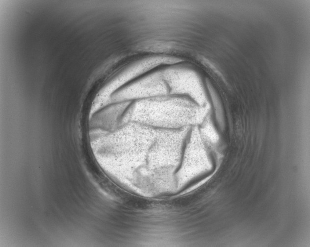 X0000068280682200605121912