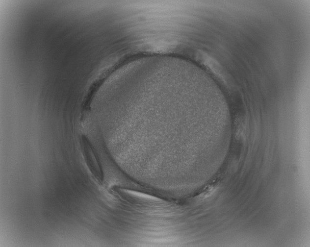 X0000068280685200605121912