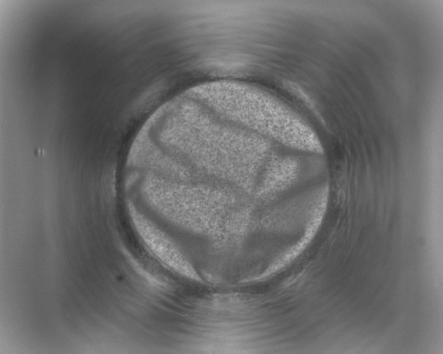 X0000068280686200605121912