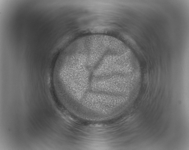 X0000068280687200605121912