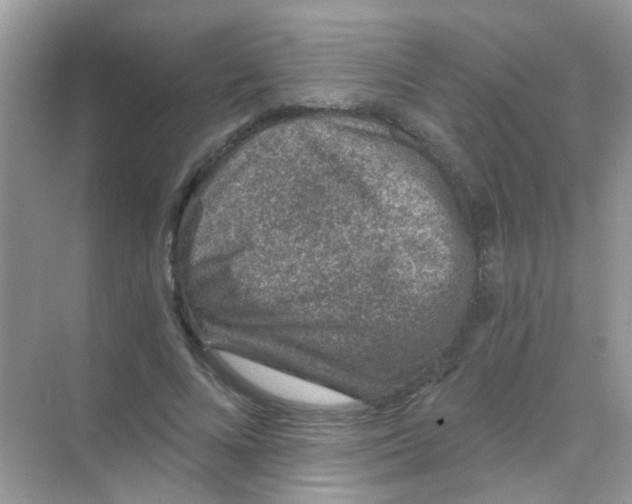 X0000068280688200605121912