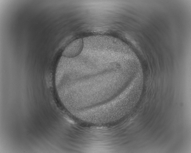 X0000068280689200605121912