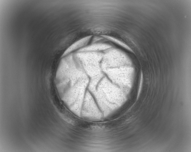 X0000068280690200605121912