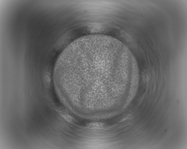 X0000068280691200605121912