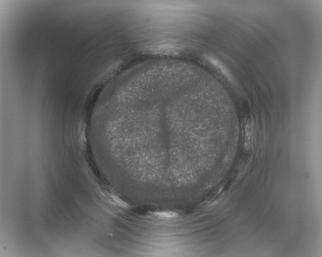 X0000068280692200605121912