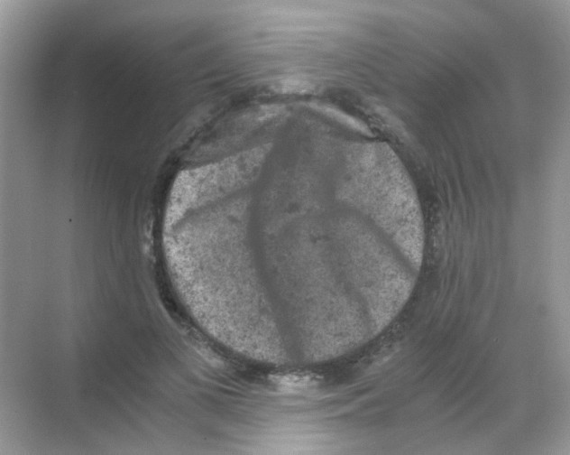 X0000068280693200605121912