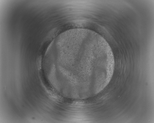 X0000068280694200605121912