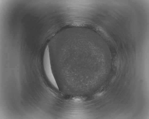 X0000068280696200605121912