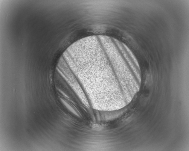 X0000068280697200605121912