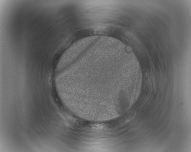 X0000068280698200605121912