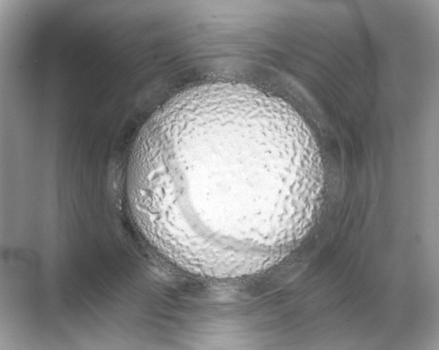 X0000068280701200605121912