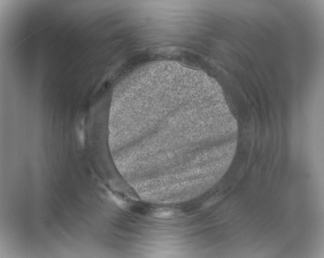 X0000068280708200605121912