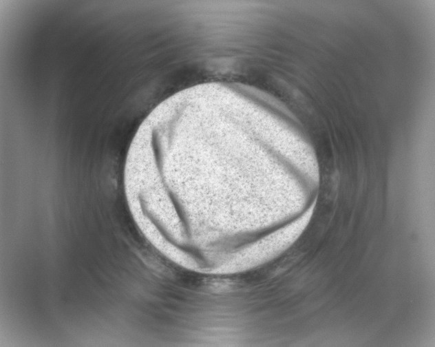 X0000068280710200605121912