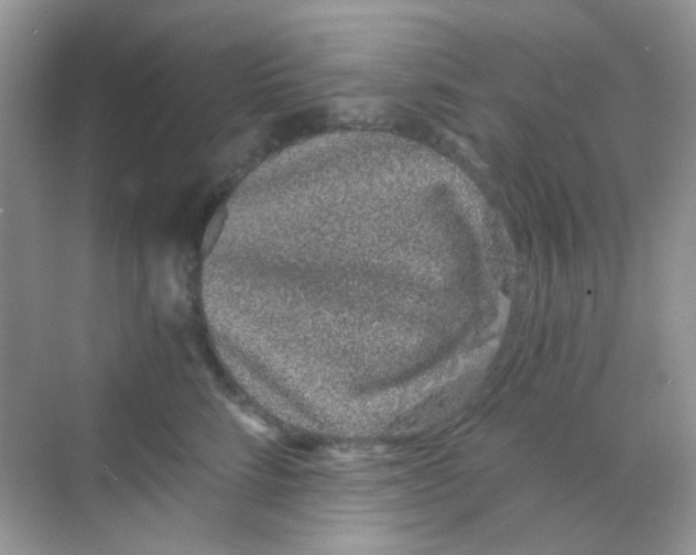 X0000068280712200605121912