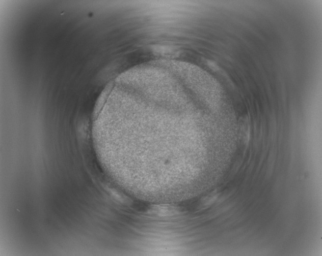 X0000068280713200605121912