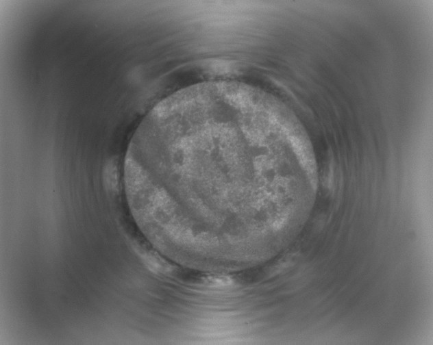 X0000068280715200605121912