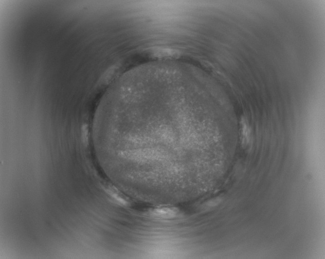 X0000068280716200605121912