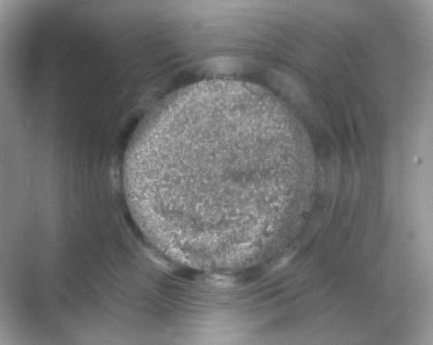 X0000068280718200605121912