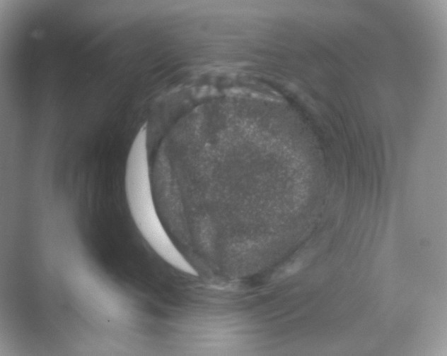 X0000068280720200605121912