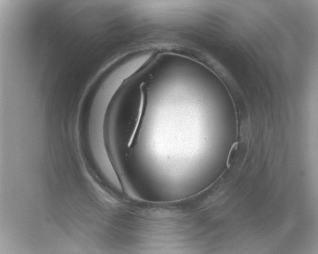 X0000068280722200605121911